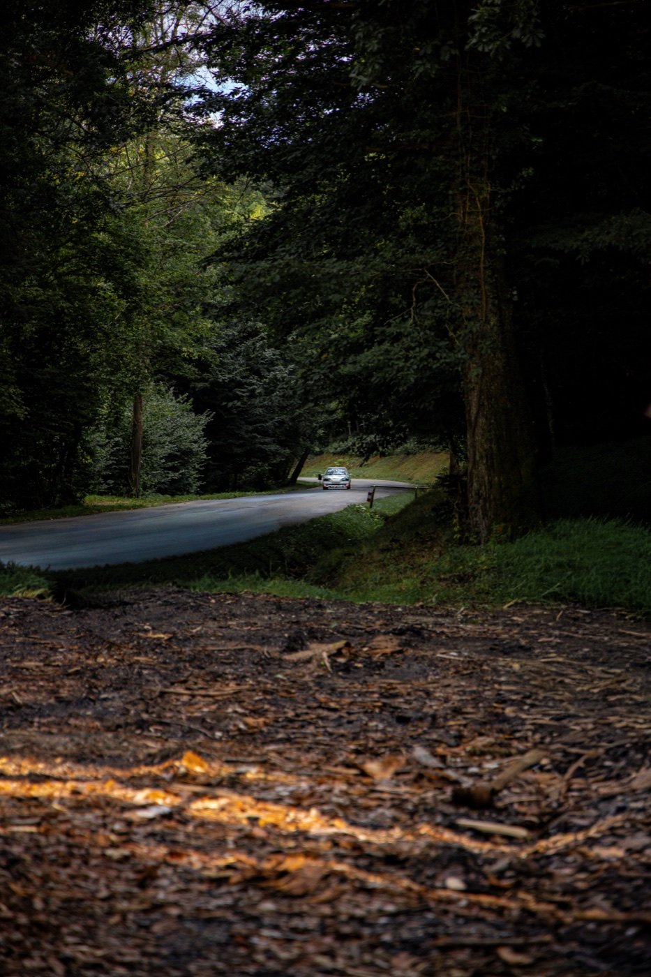 Course de côte Turckheim - Trois-Épis 2025, Turckheim — photo 40