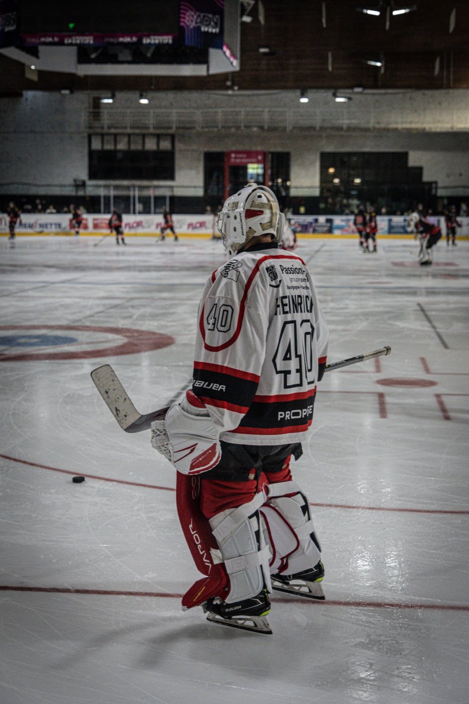 les Scorpions de Mulhouse et les Ducs de Dijon, Mulhouse — photo 1