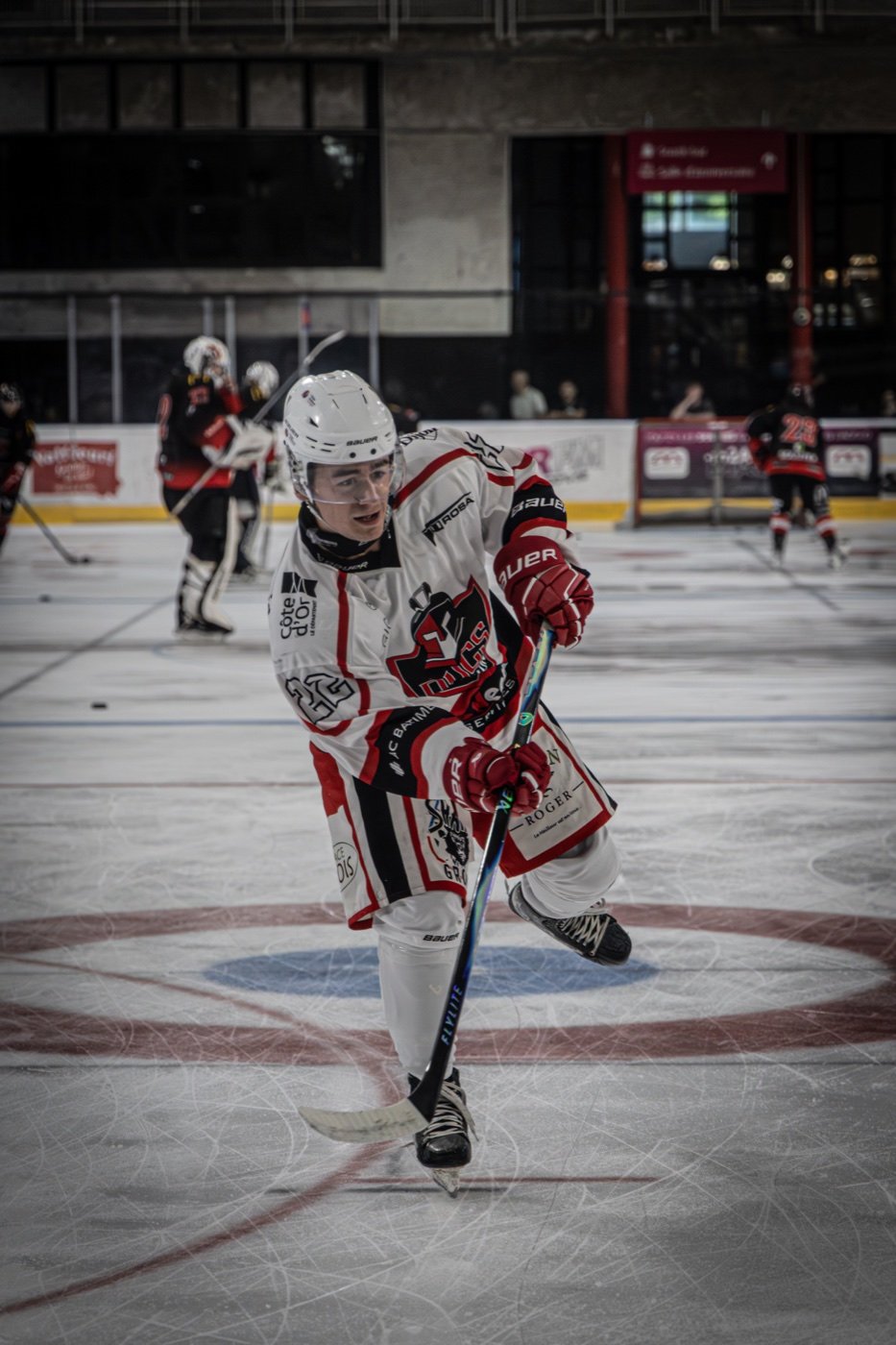 les Scorpions de Mulhouse et les Ducs de Dijon — Mulhouse