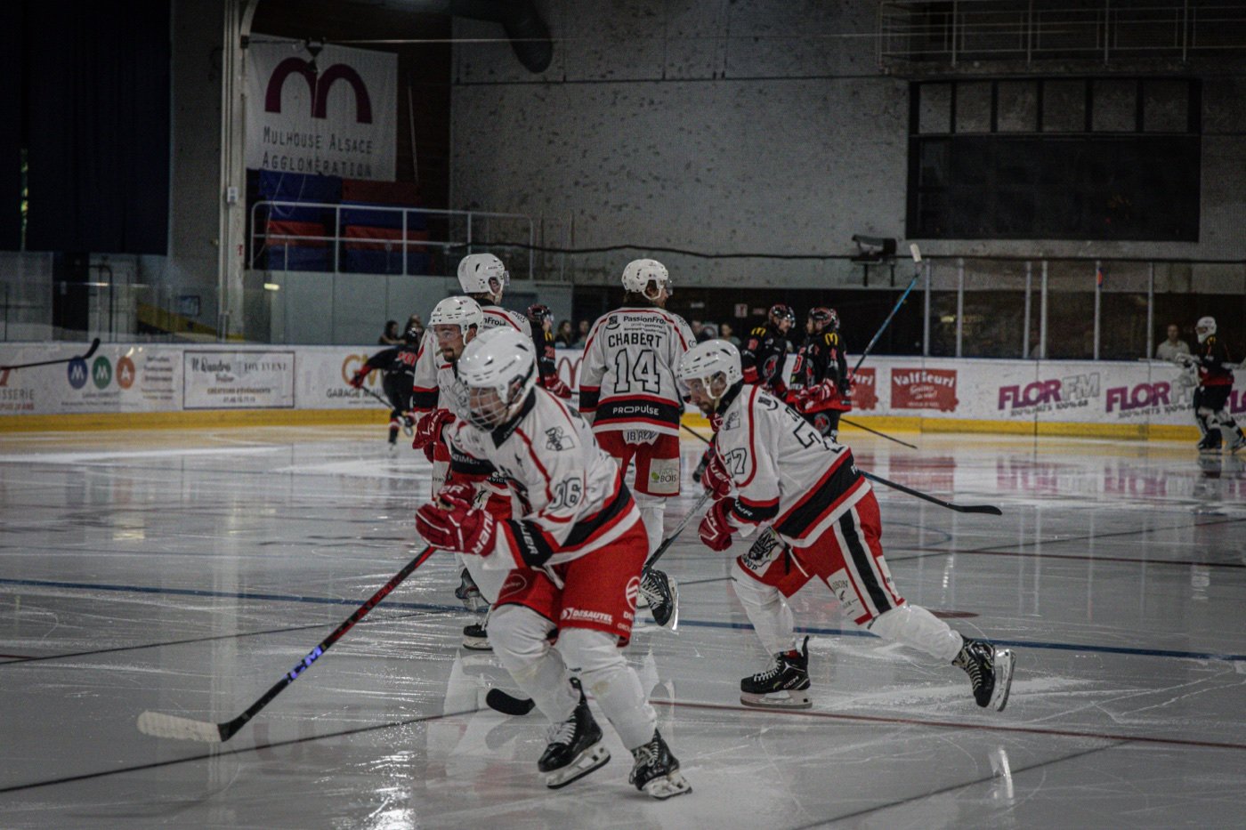les Scorpions de Mulhouse et les Ducs de Dijon, Mulhouse — photo 15