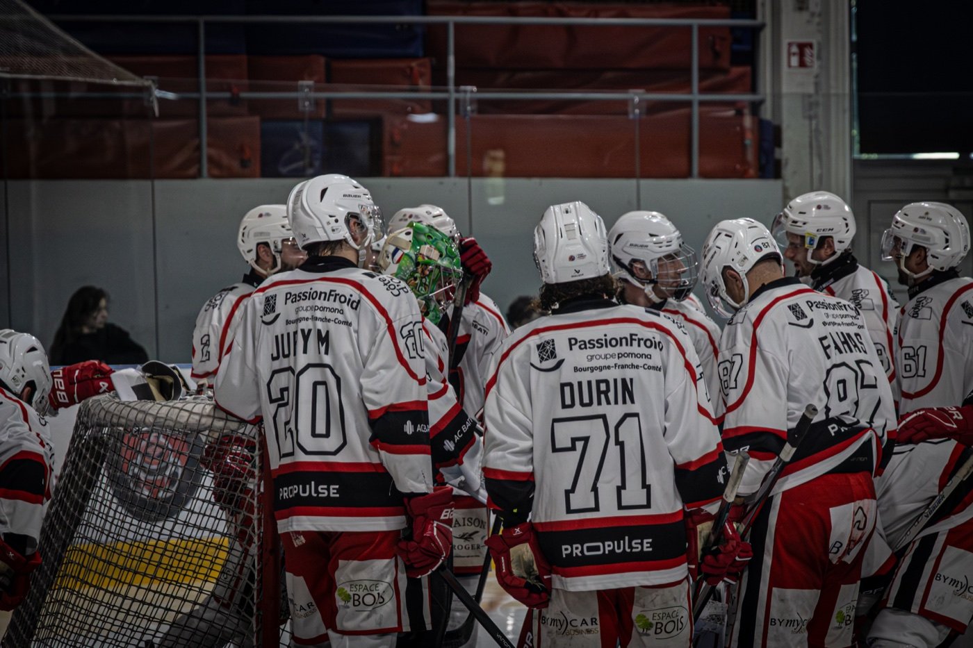 les Scorpions de Mulhouse et les Ducs de Dijon, Mulhouse — photo 21
