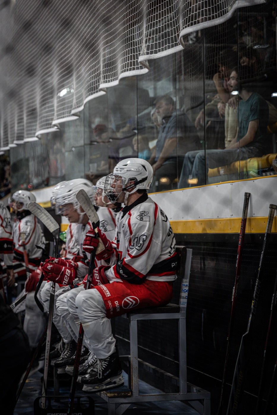les Scorpions de Mulhouse et les Ducs de Dijon, Mulhouse — photo 19