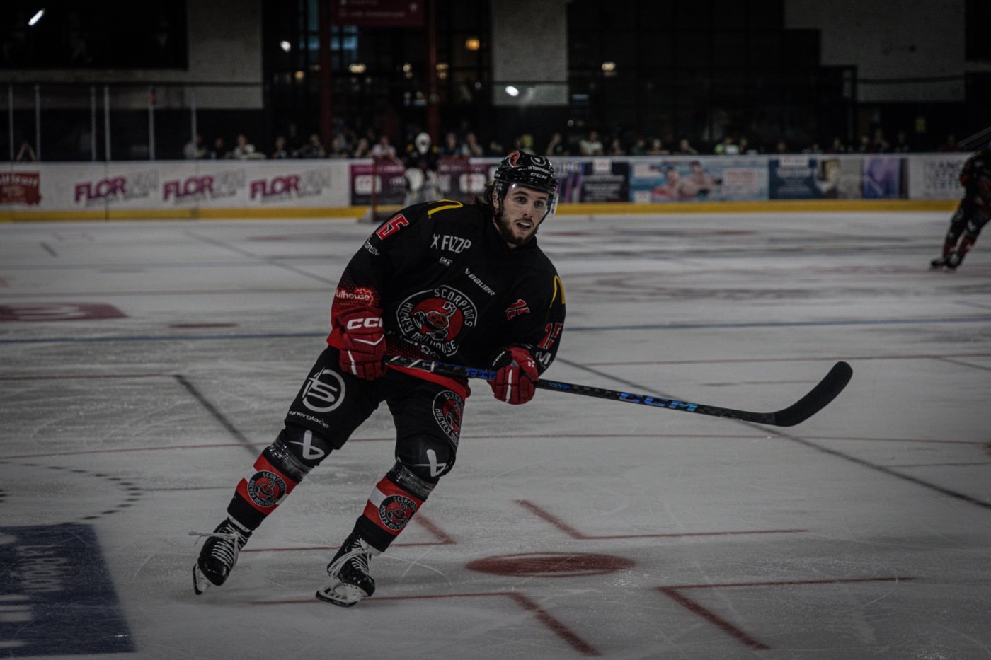 les Scorpions de Mulhouse et les Ducs de Dijon, Mulhouse — photo 33