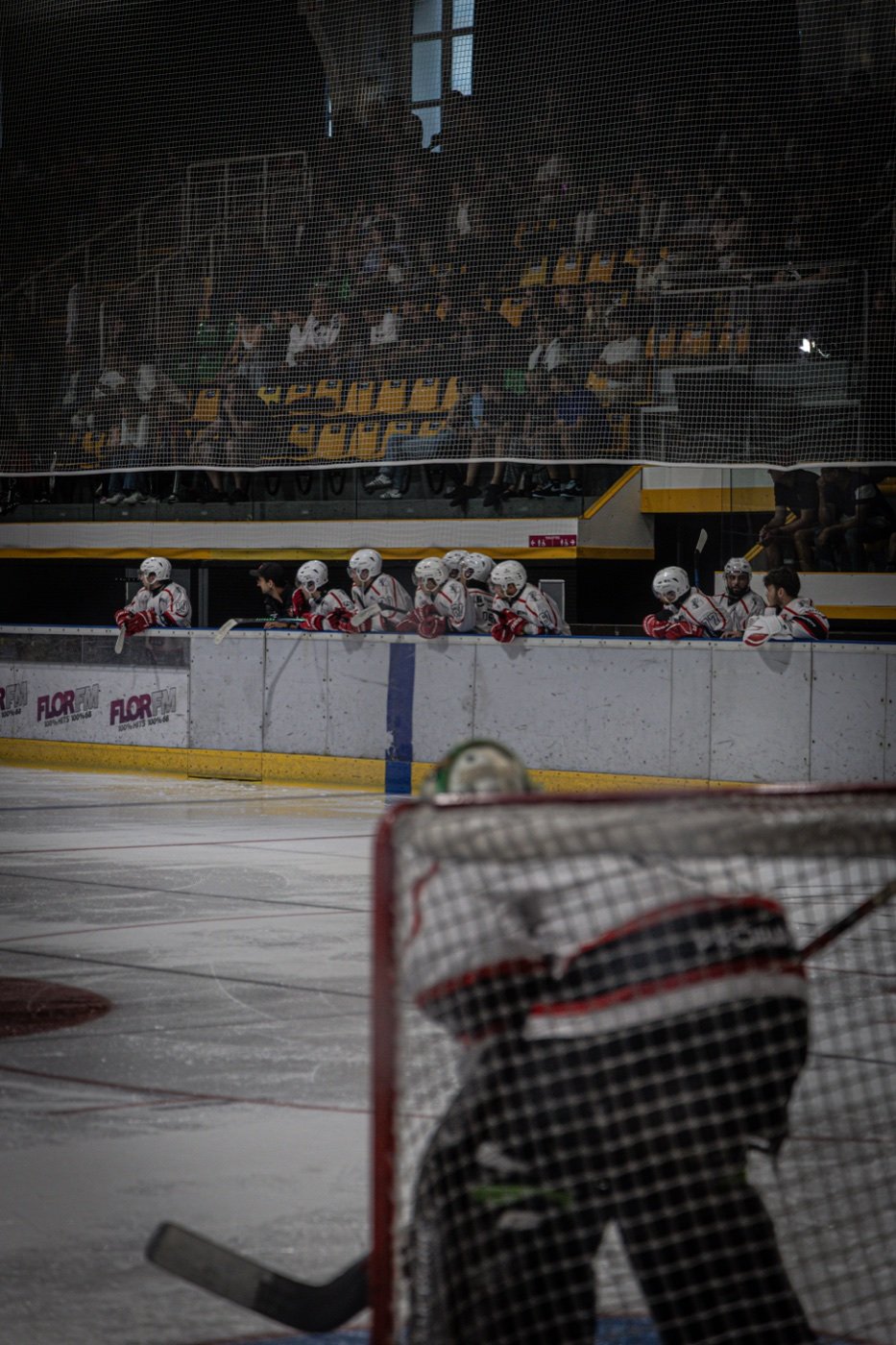 les Scorpions de Mulhouse et les Ducs de Dijon, Mulhouse — photo 30