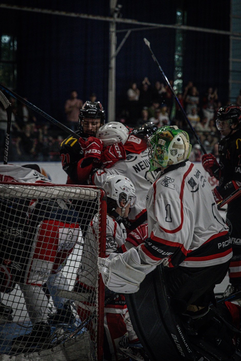 les Scorpions de Mulhouse et les Ducs de Dijon, Mulhouse — photo 32