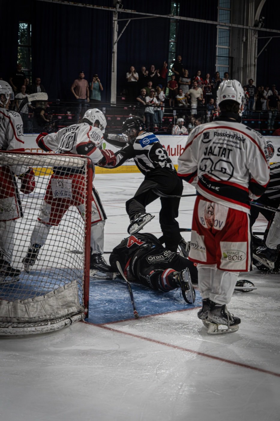 les Scorpions de Mulhouse et les Ducs de Dijon, Mulhouse — photo 34