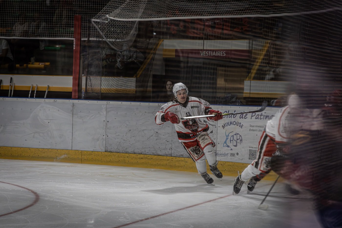 les Scorpions de Mulhouse et les Ducs de Dijon, Mulhouse — photo 37