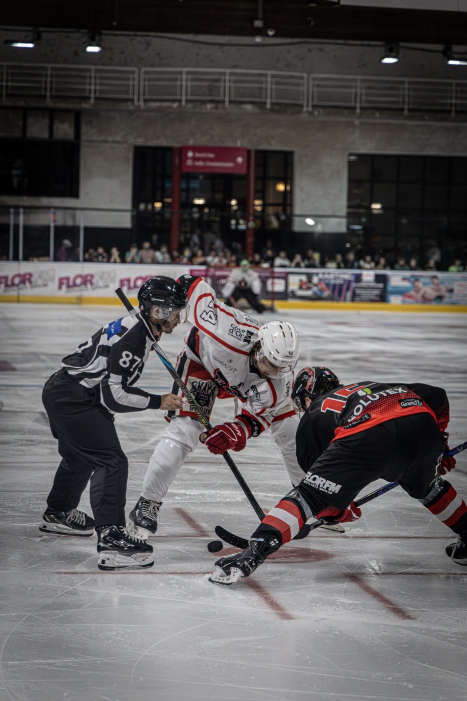 les Scorpions de Mulhouse et les Ducs de Dijon, Mulhouse — photo 42
