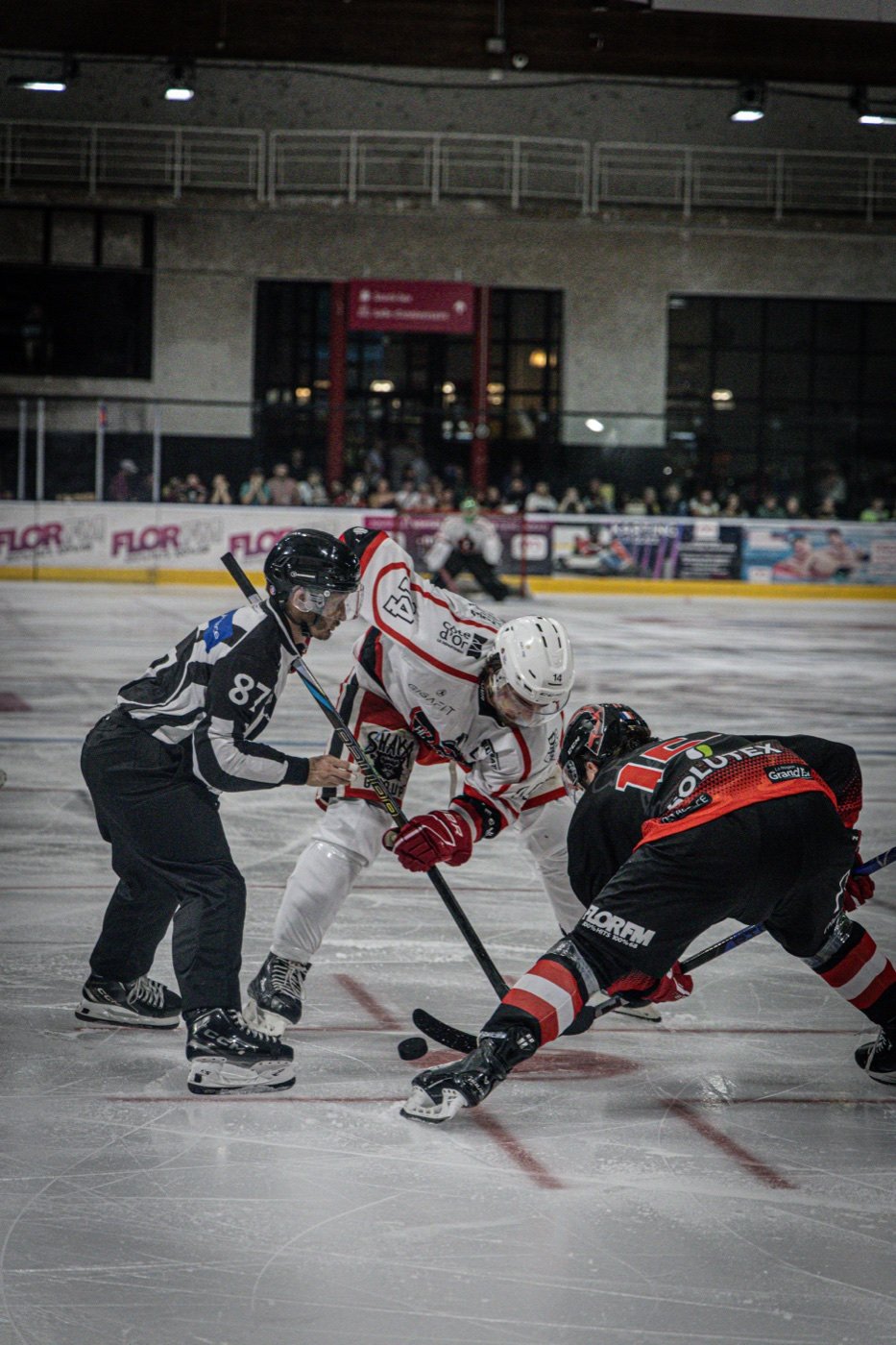 les Scorpions de Mulhouse et les Ducs de Dijon, Mulhouse — photo 45