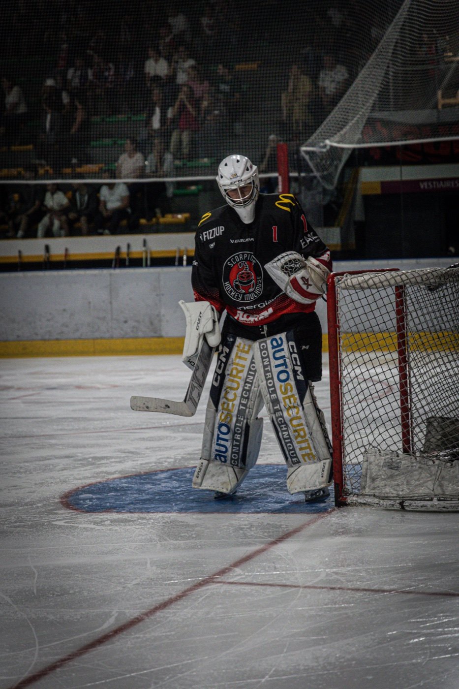 les Scorpions de Mulhouse et les Ducs de Dijon, Mulhouse — photo 49
