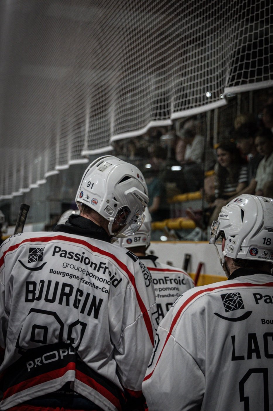 les Scorpions de Mulhouse et les Ducs de Dijon, Mulhouse — photo 53
