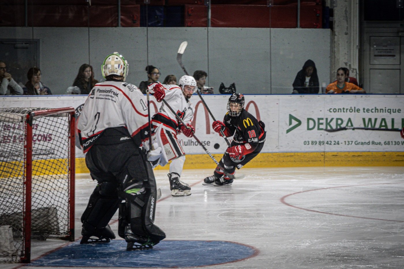 les Scorpions de Mulhouse et les Ducs de Dijon, Mulhouse — photo 44