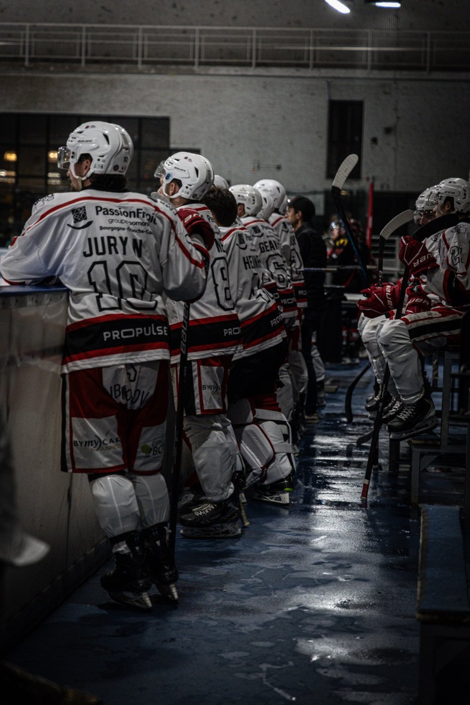 les Scorpions de Mulhouse et les Ducs de Dijon, Mulhouse — photo 57