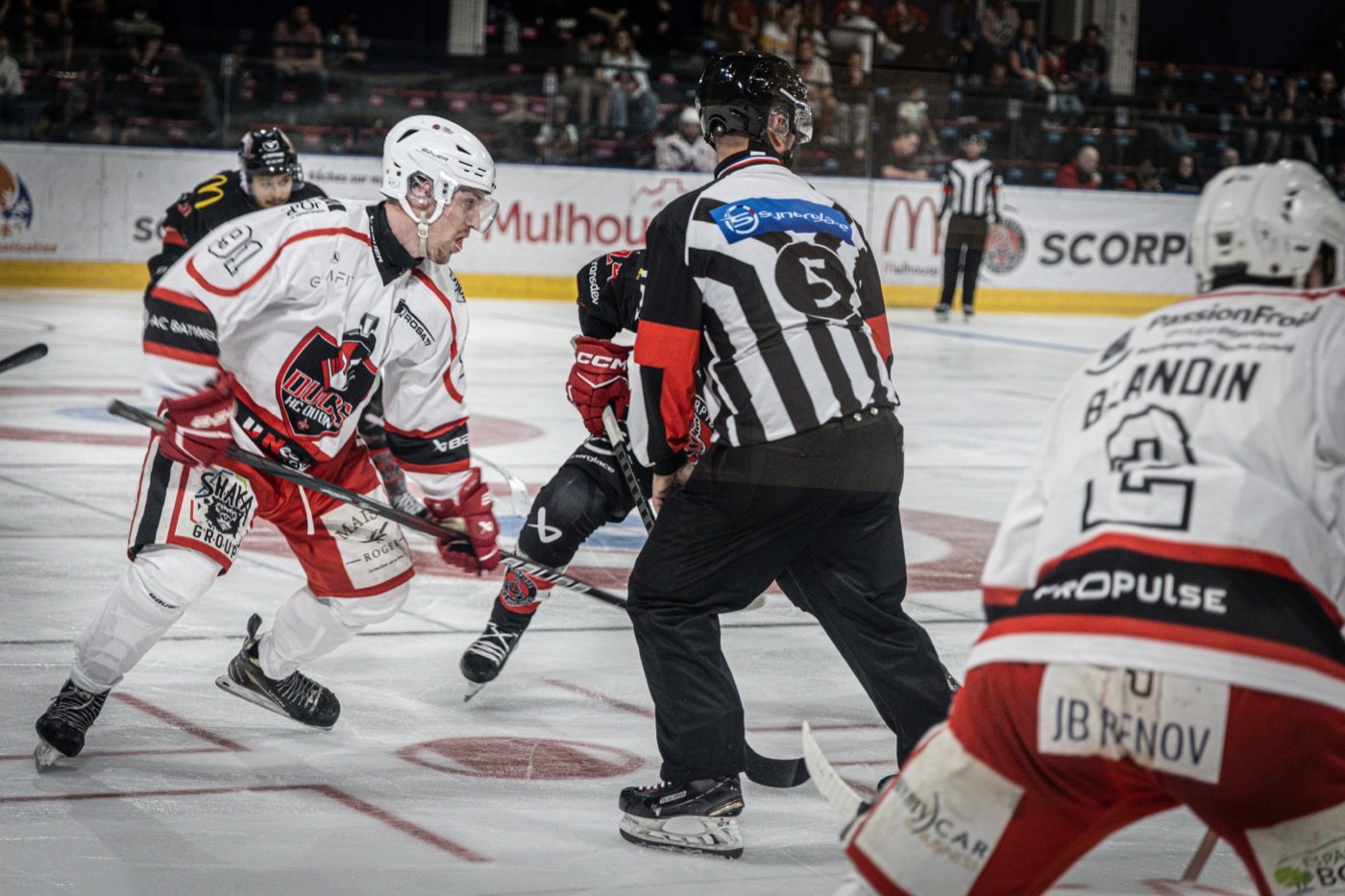 les Scorpions de Mulhouse et les Ducs de Dijon, Mulhouse — photo 46