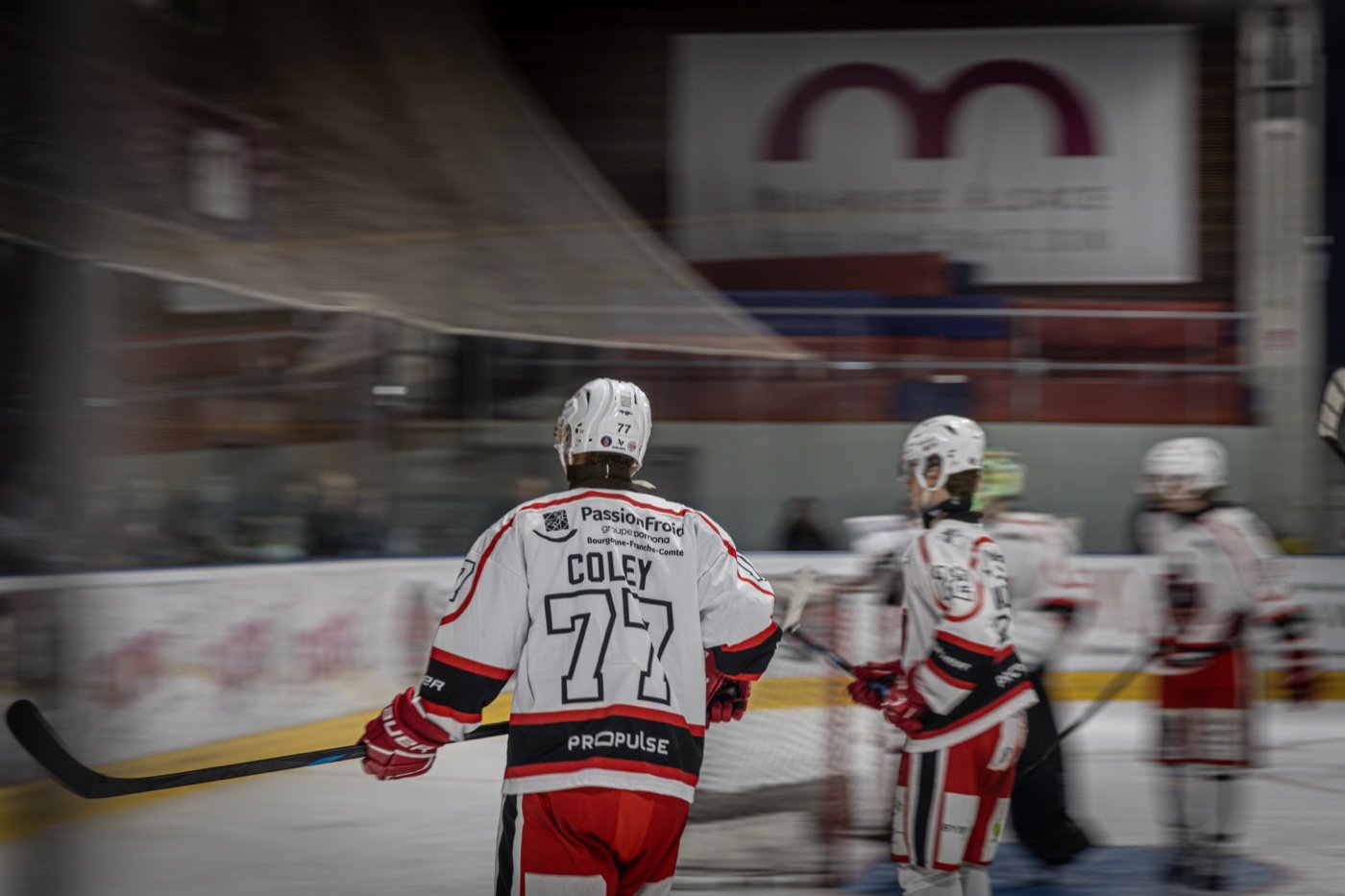 les Scorpions de Mulhouse et les Ducs de Dijon, Mulhouse — photo 54