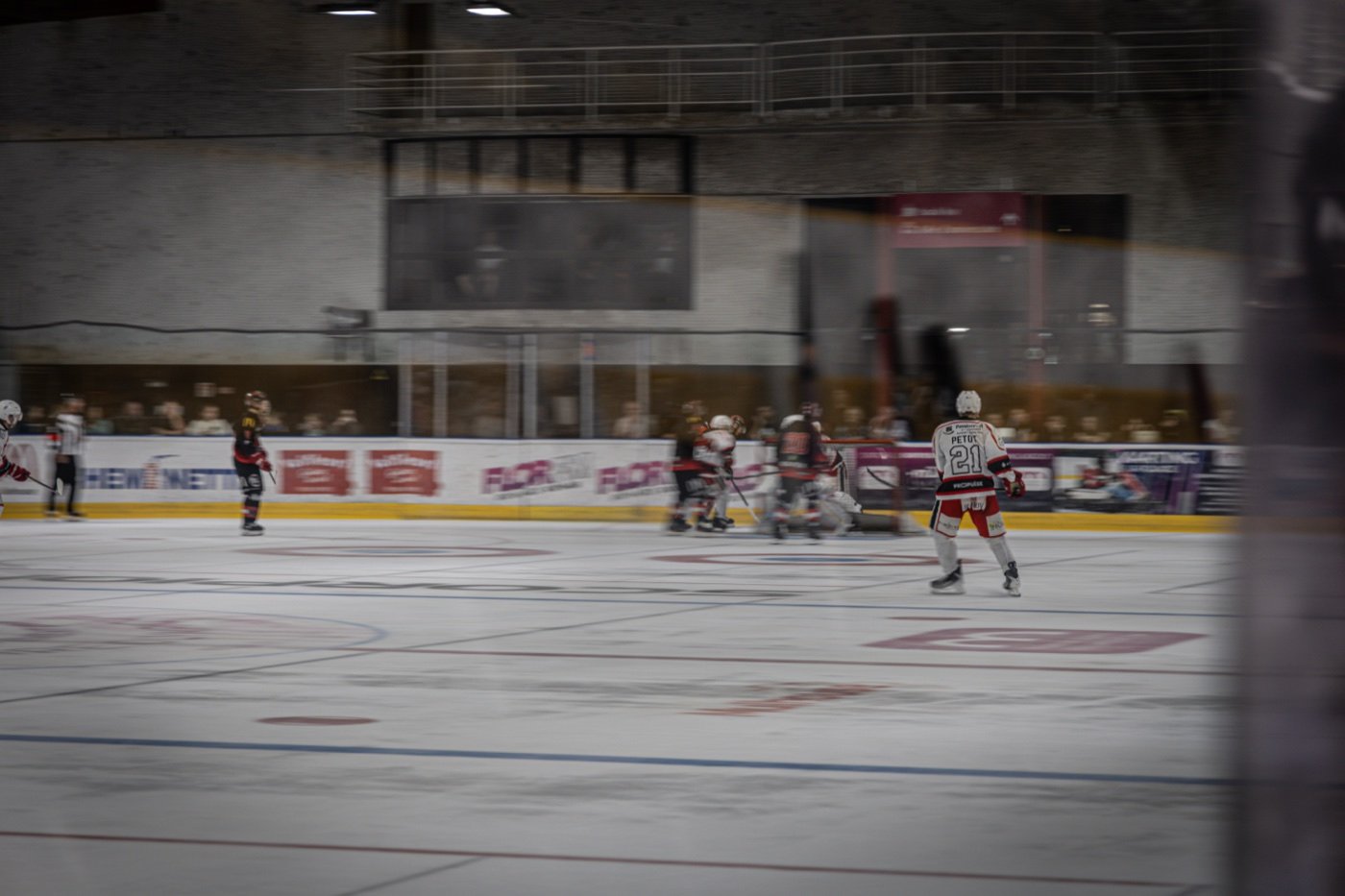les Scorpions de Mulhouse et les Ducs de Dijon, Mulhouse — photo 60